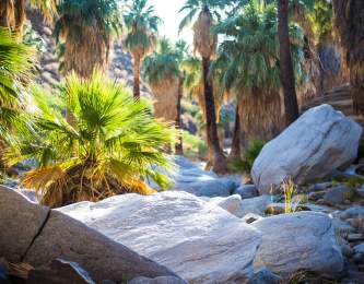 indian canyons web