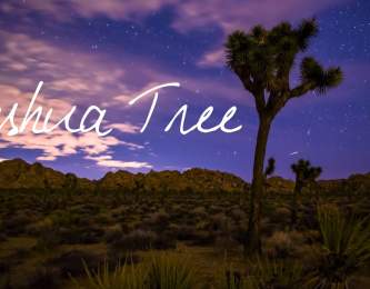 Joshua Tree ~ Wander List