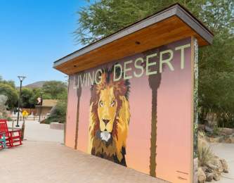 An Oasis of Art: From Murals to Music
