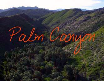 Palm Canyon ~ Wander List