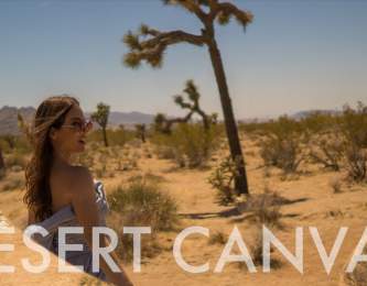 Desert Canvas: Outdoor Art in Greater Palm Springs ~ Wander List