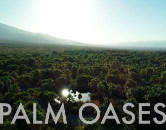 Explore the Palm Oases ~ Wander List