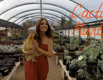 Cactus Mart ~ Wander List