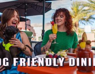 Dining with Your Dog: Pet-Friendly Spots
