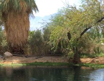 oasisinfoheaderbubbling-wells-ranch_pond-2__hero