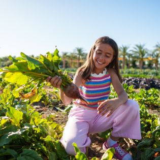 GPS24_Aziz_Farms_046