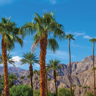 GPS_Destination_IS_1077266398