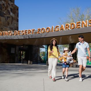 The Living Desert