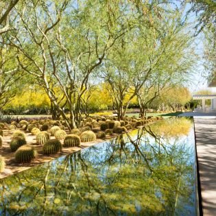 Path Along The Water At Sunnylands Center & Gardens In Greater Palm Springs