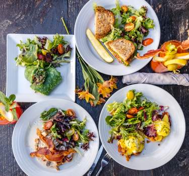 FARM Palm Springs Healthy Food Spread