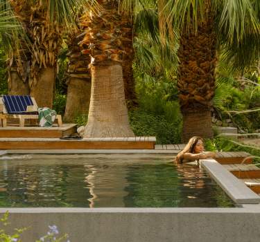 Two Bunch Palms in Desert Hot Springs