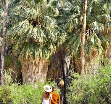 Couple walking on hiking path with palm trees