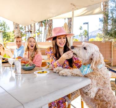 Brunch at Boozehounds in Palm Springs