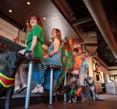 Luchador Brewing Company, Cathedral City