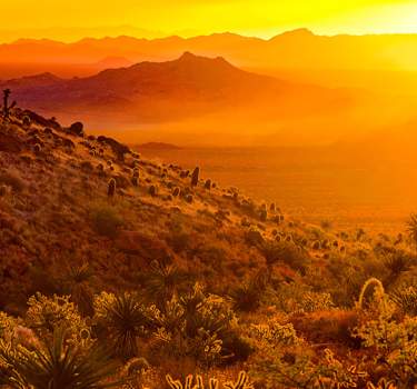 mitchell caverns providence mountains