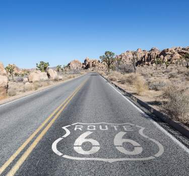 route66 joshuatree web