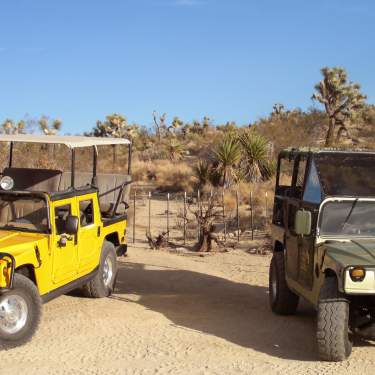 Two Hummers from Adventure Hummer Tours in Joshua Tree, California