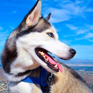 1920x1080 istock 88641619 xlarge web