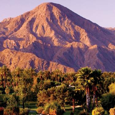 Mountains and palm trees for National Travel and Tourism Week