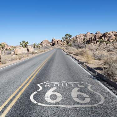 route66 joshuatree web