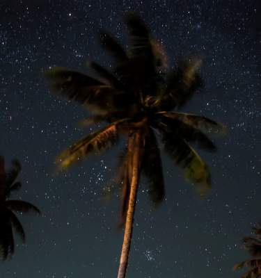 1920x1080 istock stargazing