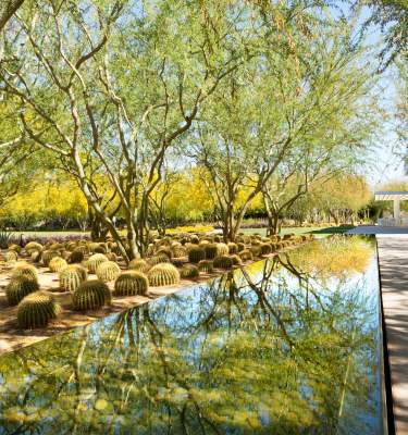 Path Along The Water At Sunnylands Center & Gardens In Greater Palm Springs