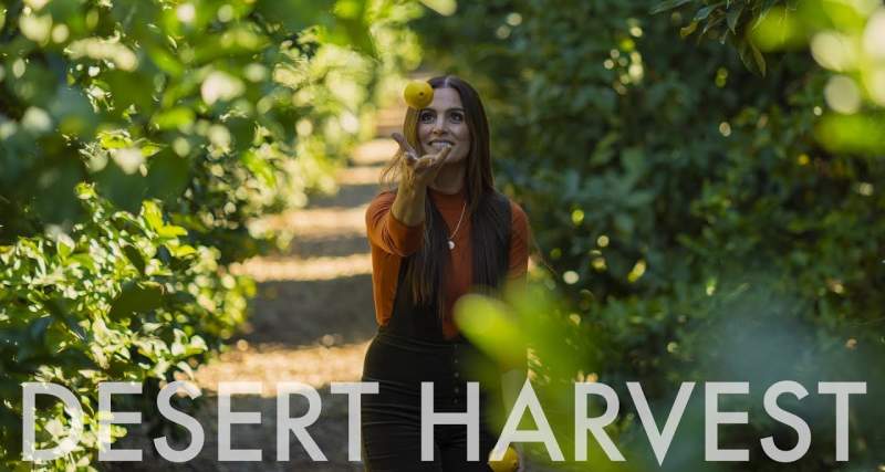 Desert Harvest ~ Wander List