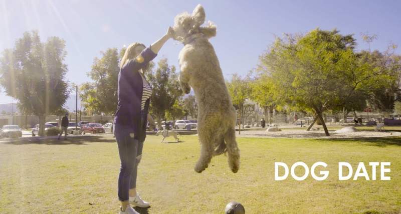 Plan the Perfect Pet-Friendly Getaway in Greater Palm Springs