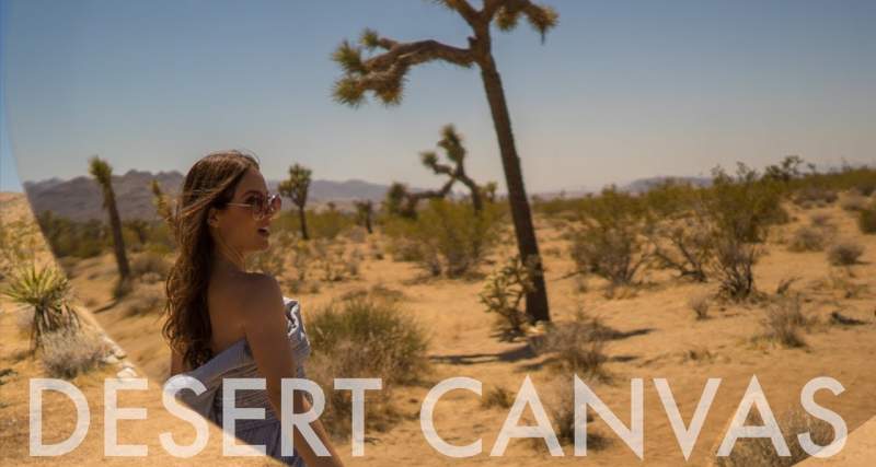 Desert Canvas: Outdoor Art in Greater Palm Springs ~ Wander List