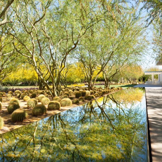 Path Along The Water At Sunnylands Center & Gardens In Greater Palm Springs