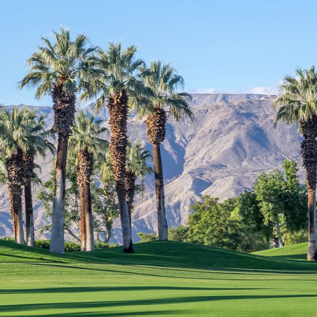 Board Report Header Palm Mountains 2