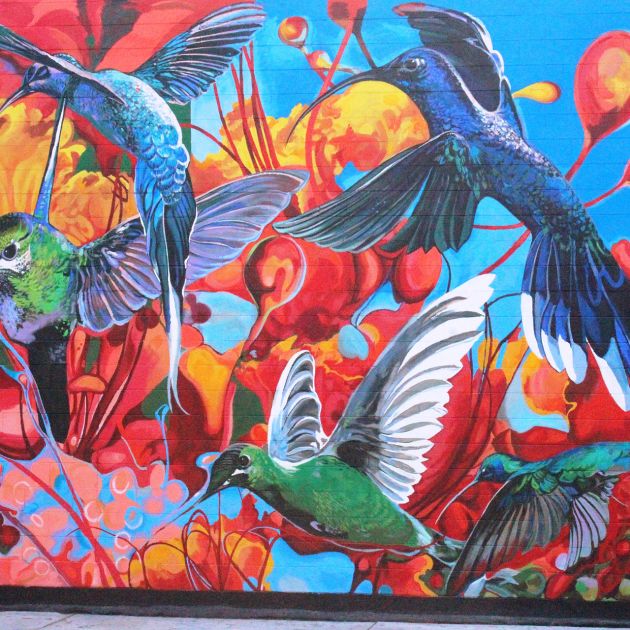 indio mural