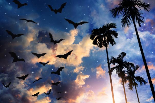 Halloween Blog Header
