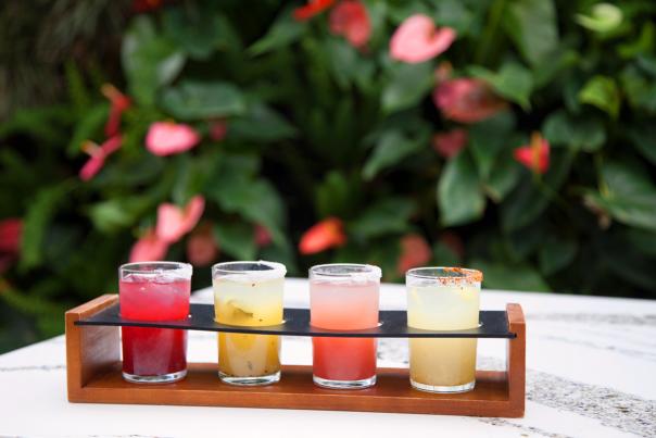 margarita flight at tac/quila palm springs