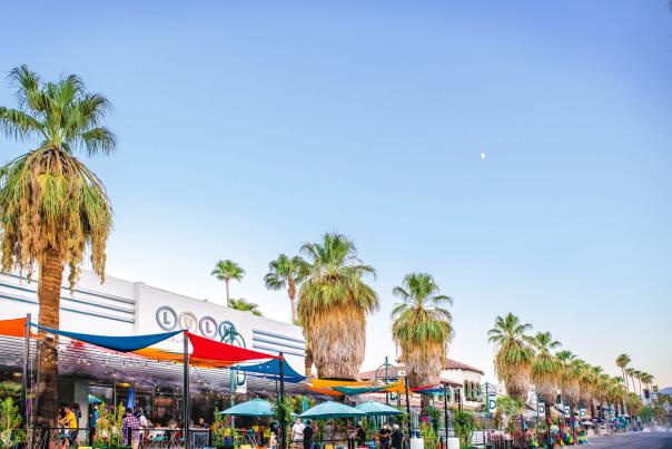Image of blue skies and palm trees at Lulu.