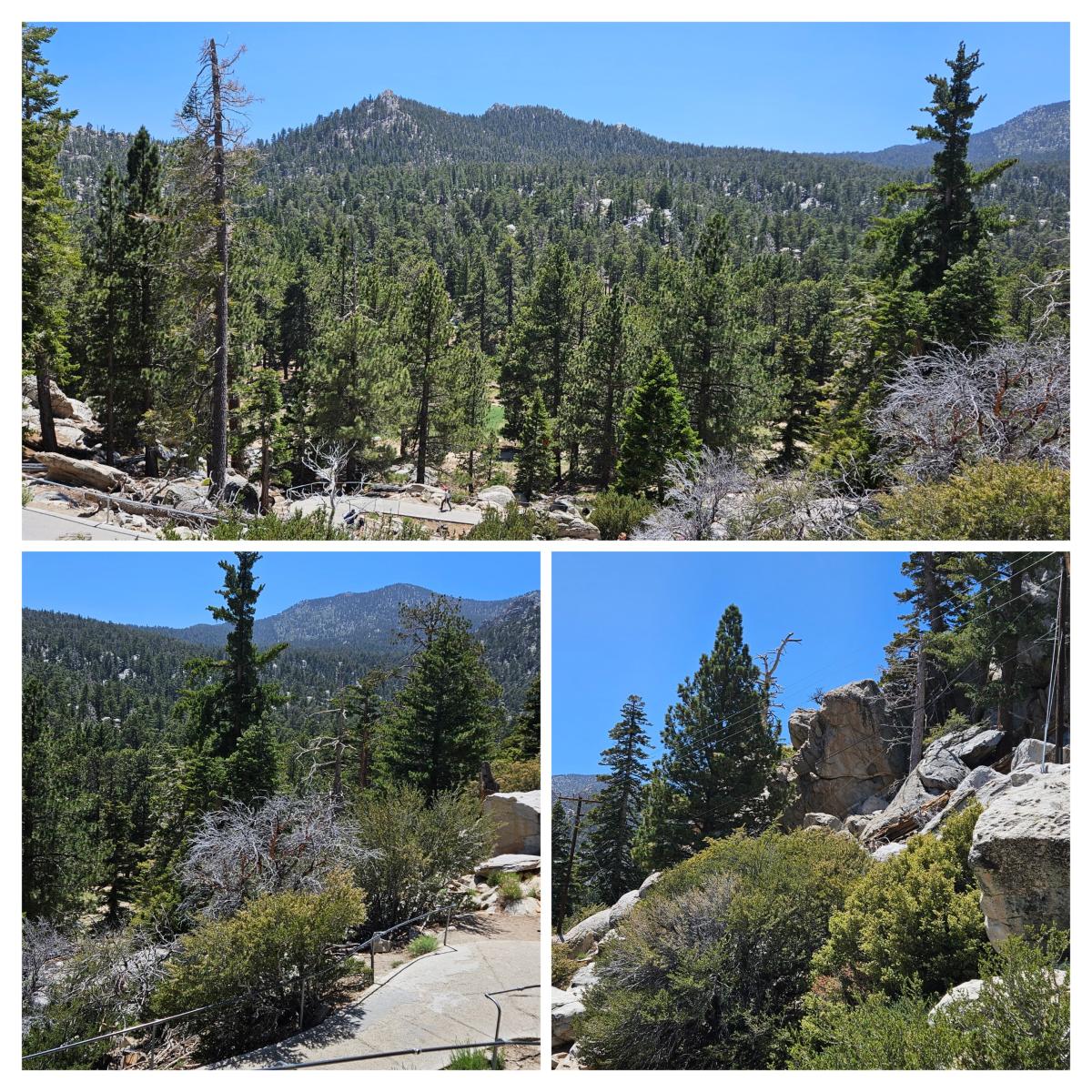 Mountains