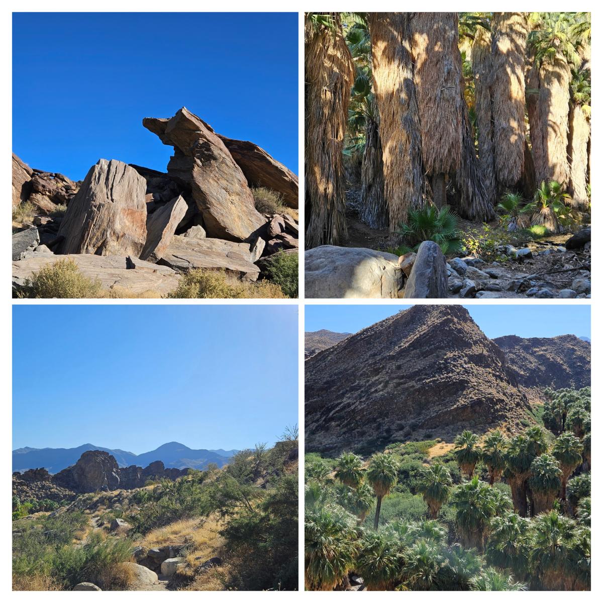 Indian Canyons (Oleg Blog)