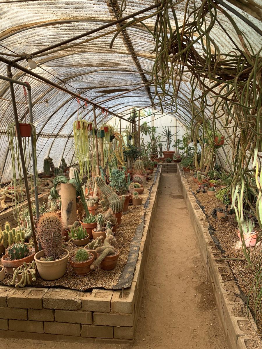 Moorten Botanical Garden (Julie K Blog)