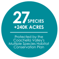 Sustainable Meetings Graphic - protected species