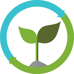 Sustainability