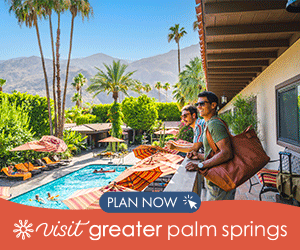 VGPS26_EYO_Spring_300x250B_C5_V1_0218