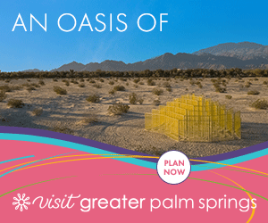 VGPS23-Oasis-of-Art-Chainlink-300x250.gif