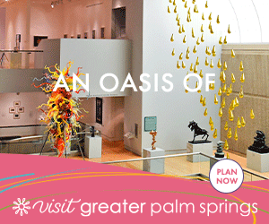 VGPS23-Oasis-of-Art-PSAM-300x250B.gif