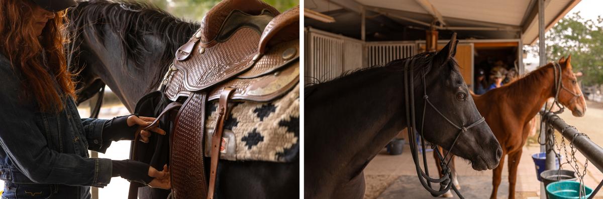 Horses at Crazy Horse Ranch in Morongo Valley, California