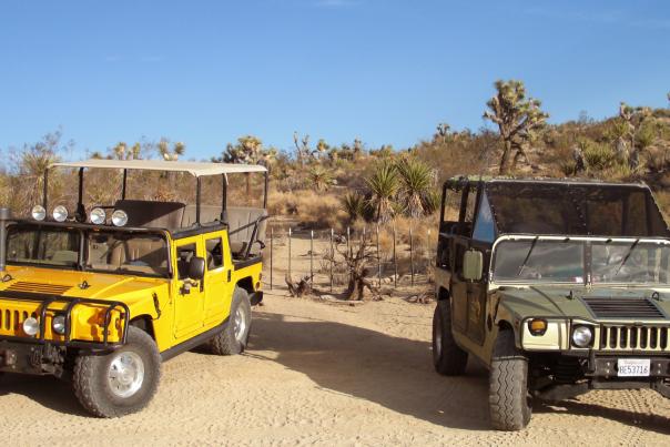 Two Hummers from Adventure Hummer Tours in Joshua Tree, California