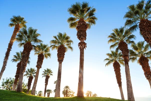 JW Marriott Desert Springs Resort & Spa