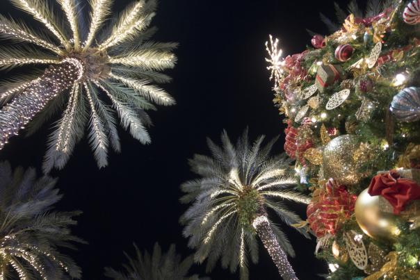 Holidays_iStock