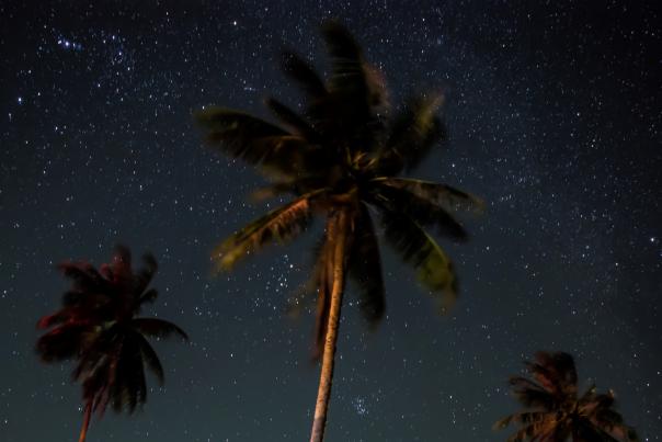 1920x1080 istock stargazing