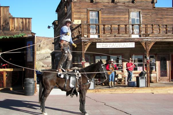 Calico Lasso