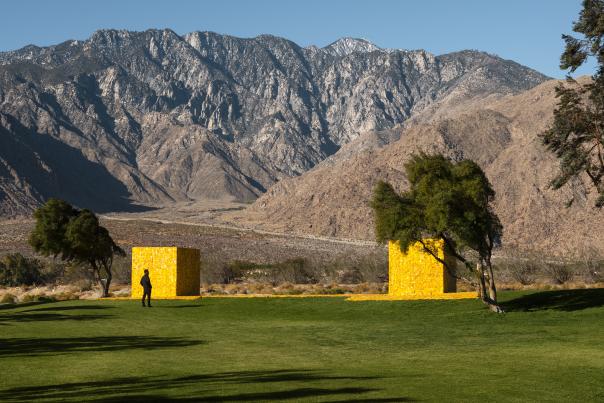 Two yellow box arts with mountains